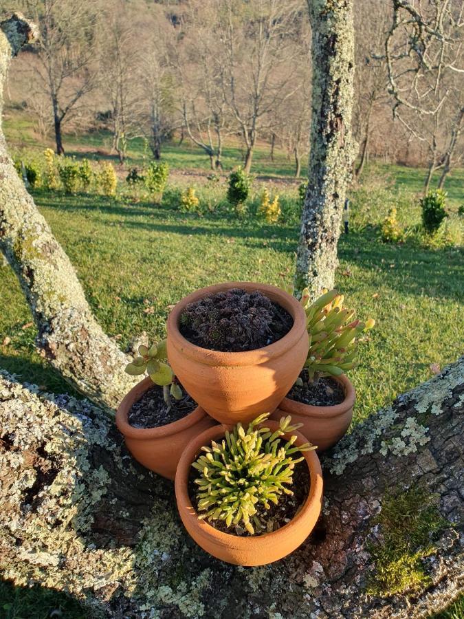 Quinta De Cerdeiro Villa Moes Eksteriør billede
